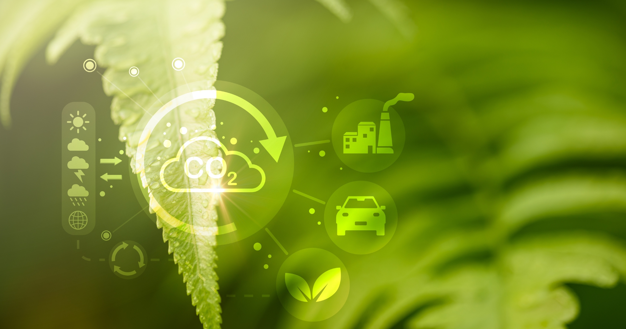 renewable energy sources